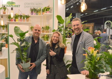 Jasper Zuidgeest, Marloes van der Burg en Richard van der Hoek van Dynaplant hebben vanaf nu veenvrij geteelde strelitzia in de aanbieding.